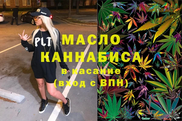 индика Новодвинск