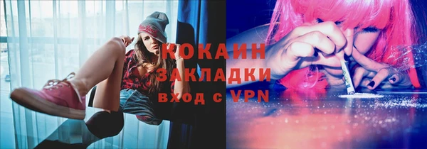 индика Новодвинск
