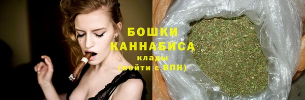 индика Новодвинск