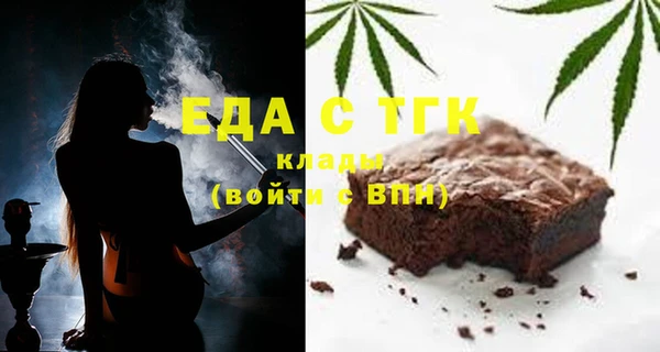 индика Новодвинск