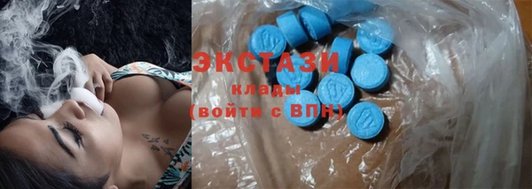 индика Новодвинск