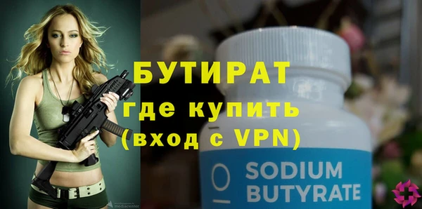индика Новодвинск