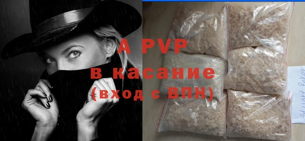 индика Новодвинск