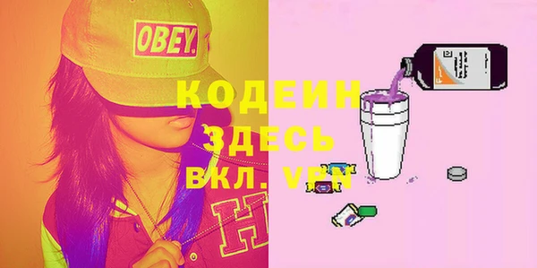индика Новодвинск