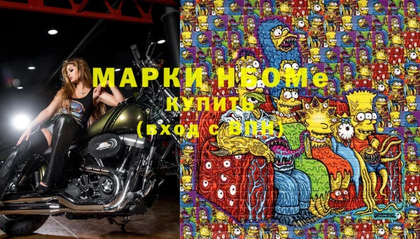 индика Новодвинск