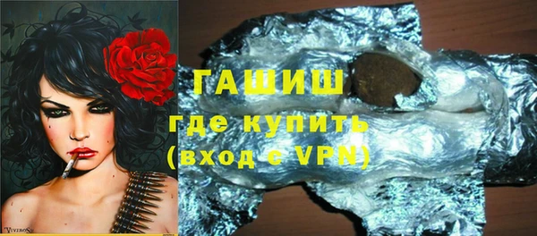индика Новодвинск