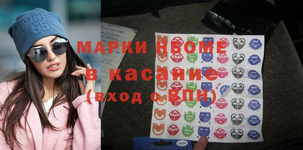 индика Новодвинск