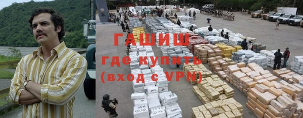 индика Новодвинск