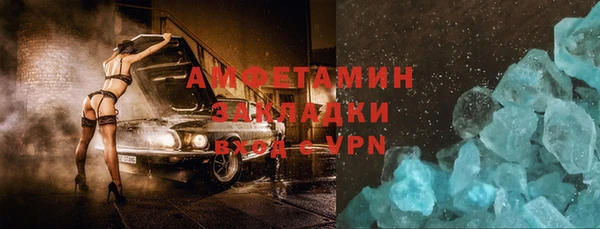 индика Новодвинск