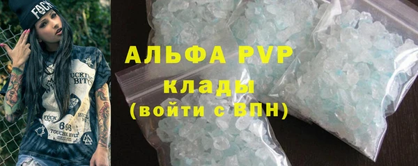 индика Новодвинск