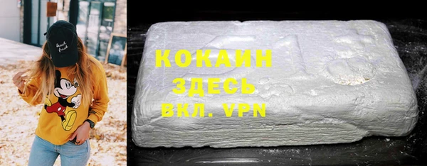 индика Новодвинск