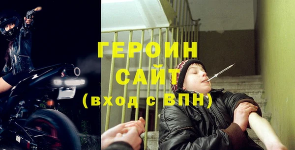 индика Новодвинск