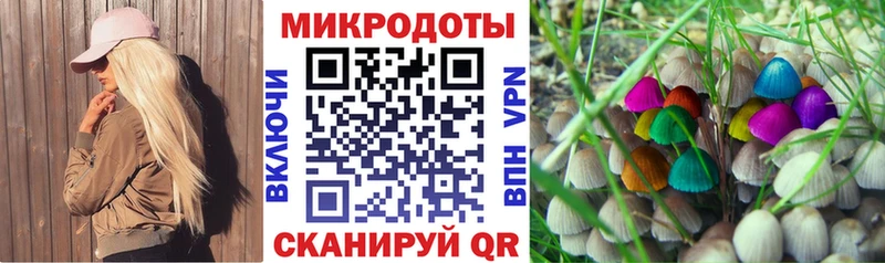 Псилоцибиновые грибы мухоморы ОМГ ОМГ вход Николаевск-на-Амуре наркота